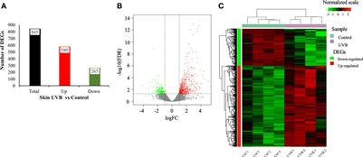 Transcriptional changes in the gilthead seabream (Sparus aurata) skin in response to ultraviolet B radiation exposure